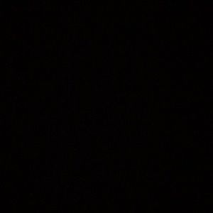 Meet your Posher, Ricky